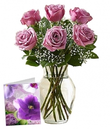 Gorgeous Lavender Roses I
